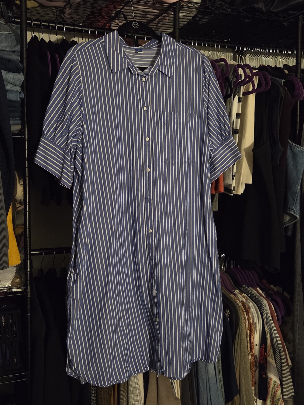 Classic Blue Stripe Button-Front Shirt Dress